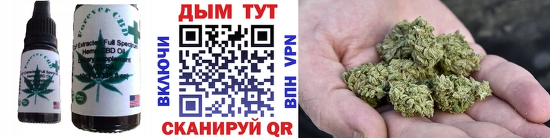 Cannafood конопля  Северодвинск 