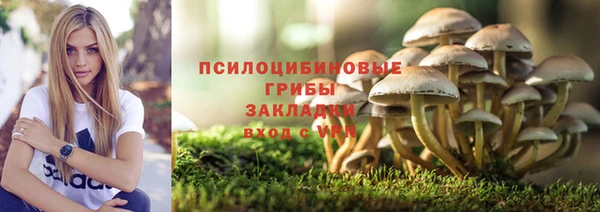 сатива Козловка