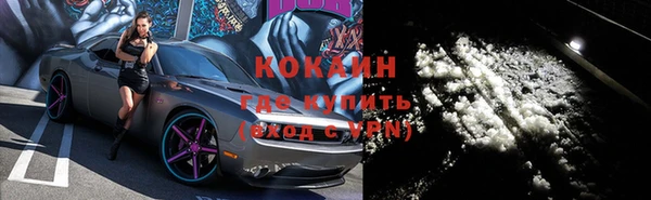 сатива Козловка