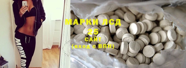 стафф Корсаков