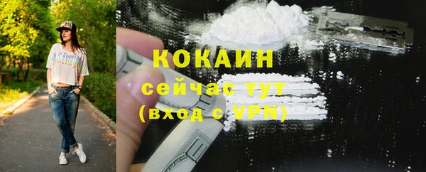 сатива Козловка