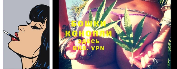 сатива Козловка