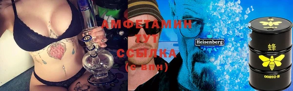 сатива Козловка