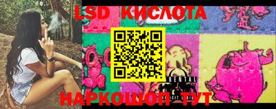 гидра Балашиха