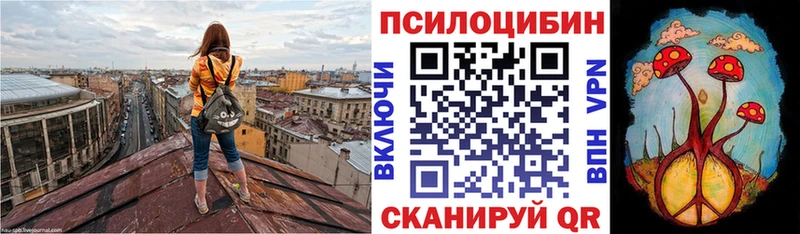 Псилоцибиновые грибы мицелий Северодвинск